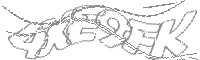 Check code