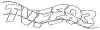 Check code