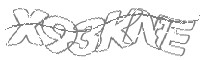 Check code