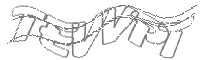 Check code