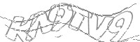 Check code