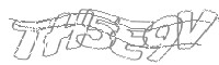 Check code