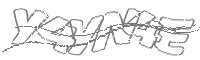 Check code